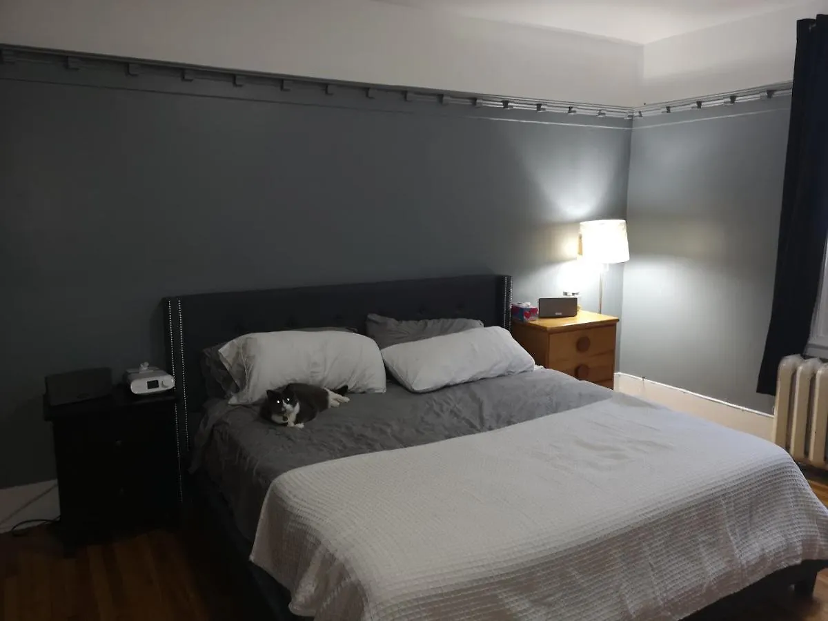 Séjour chez l'habitant Room With King Bed In Shared 3 Bedroom Downtown Montréal